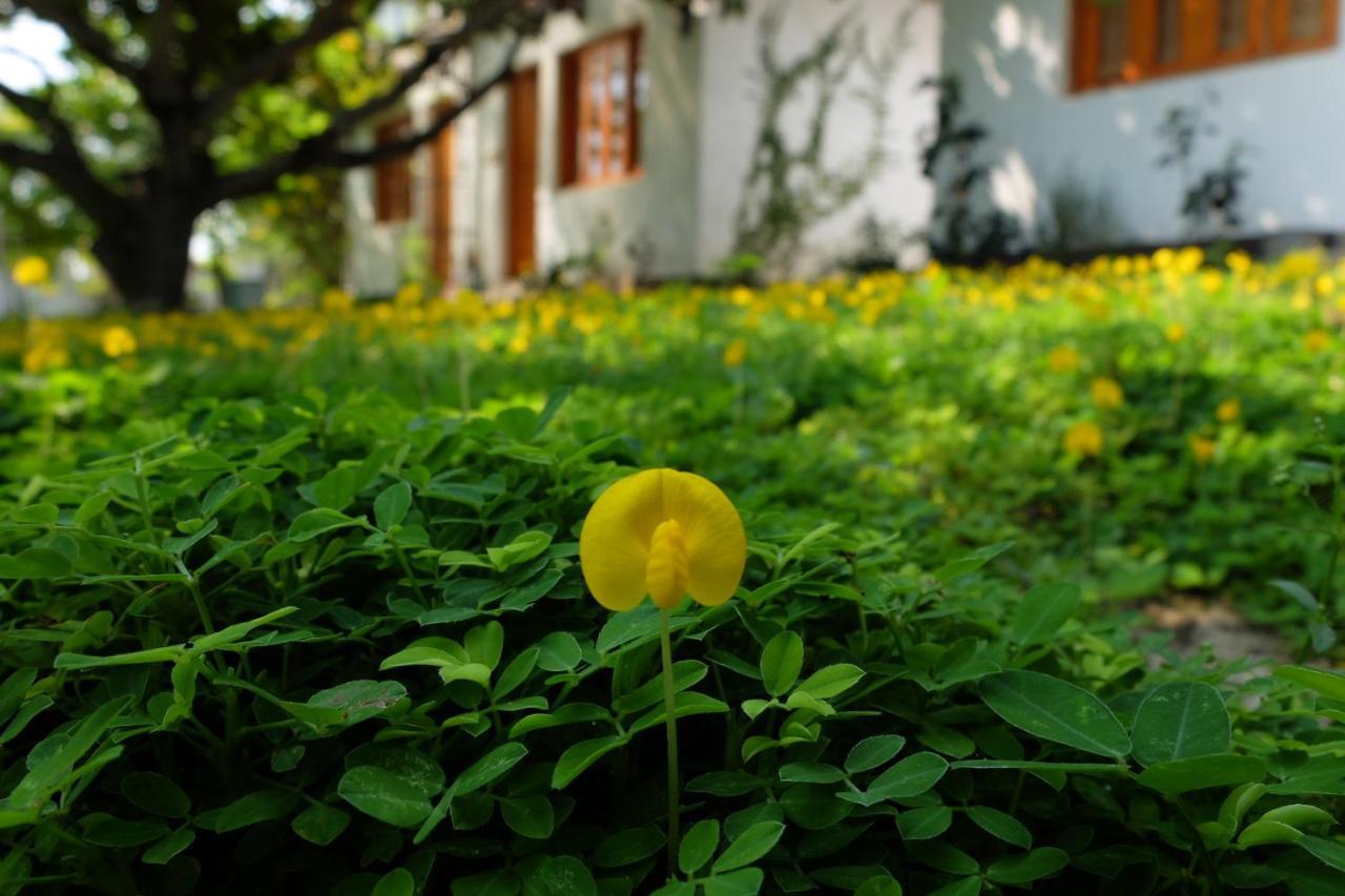 Dao Hoa Vang Villa Cam Ranh Exterior foto