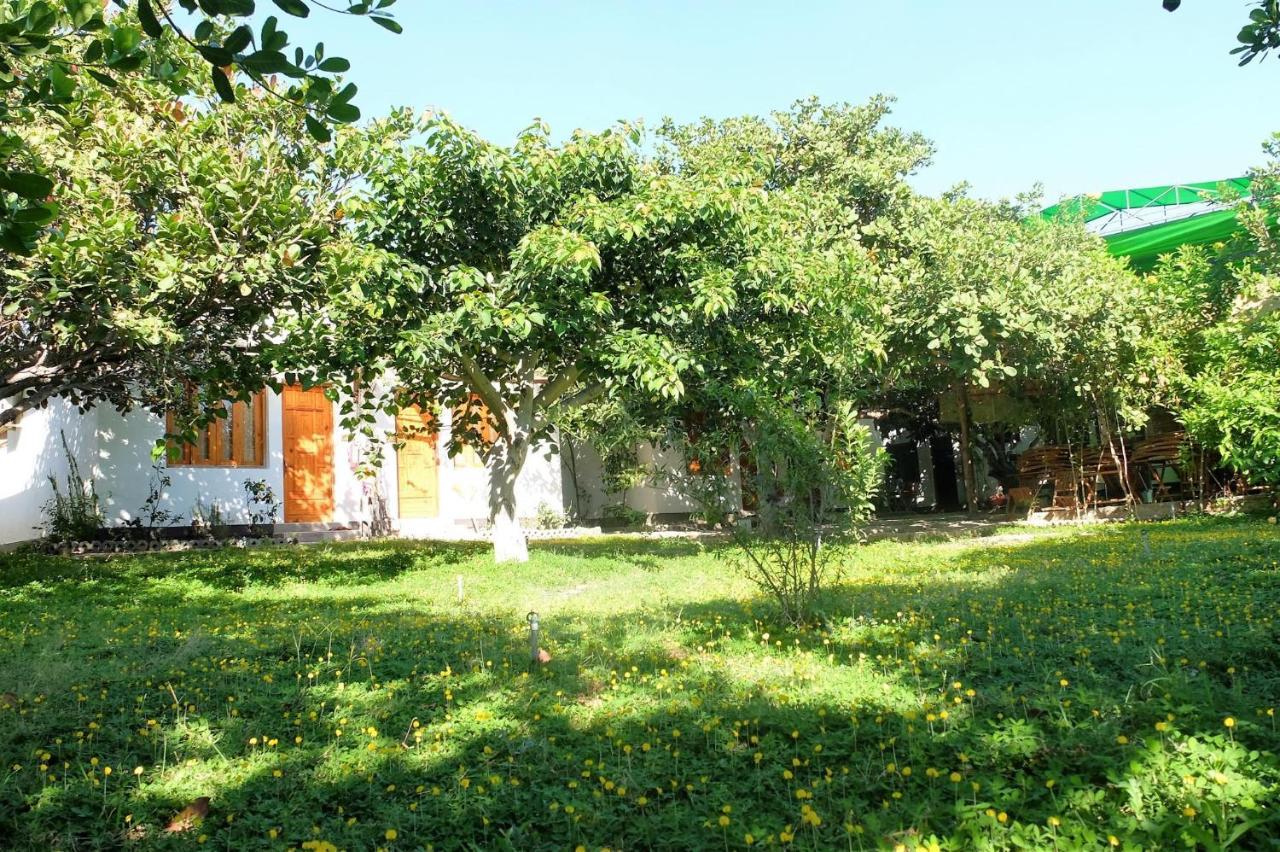 Dao Hoa Vang Villa Cam Ranh Exterior foto